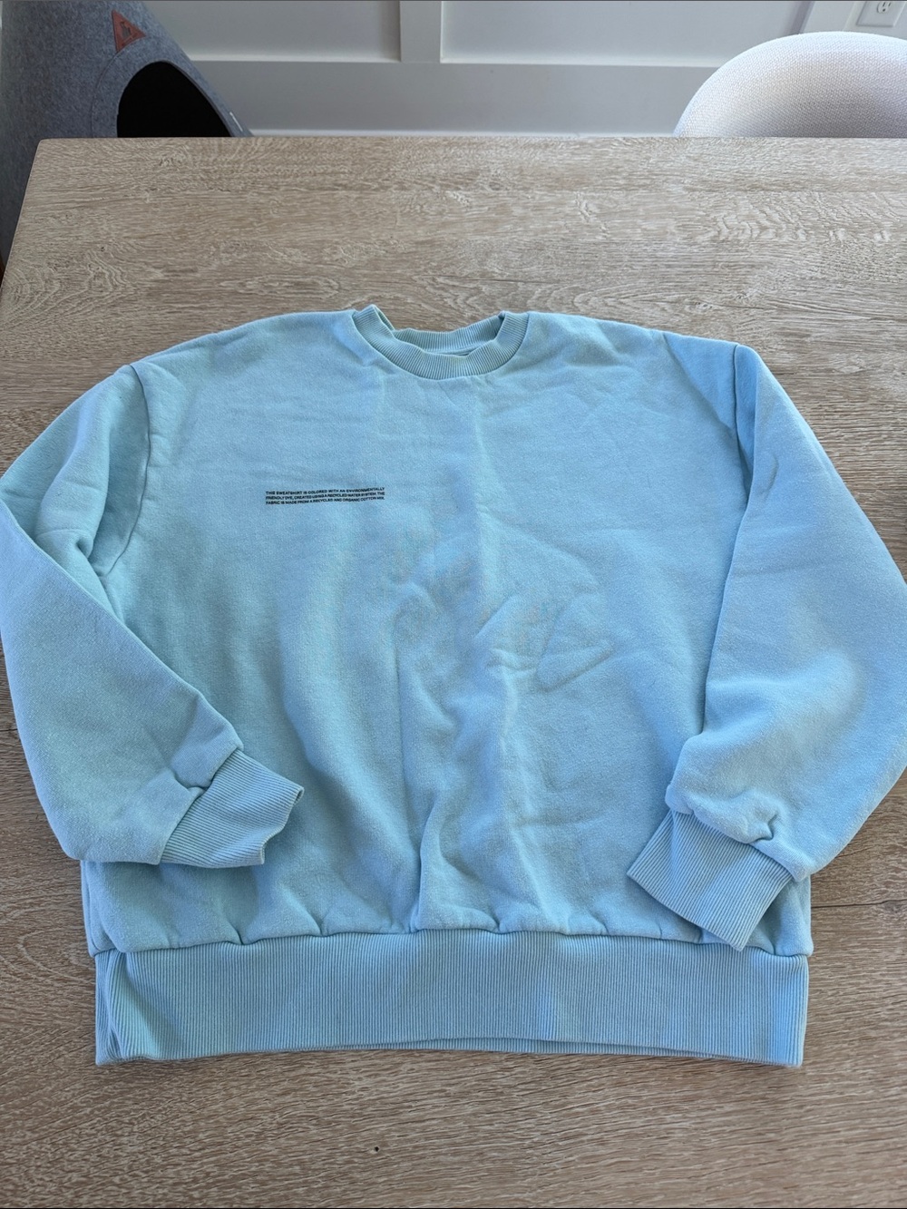 Pangaia Light Blue Crewneck Sweatshirt with Minimal Chest Text